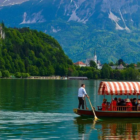 House 招待所 布莱德